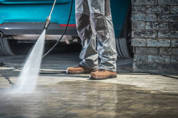 Best Driveway Pressure Washing  in Umatilla, FL